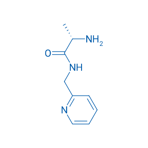 (S)-2-Amino-N-(pyridin-2-ylmethyl)propanamide 1g