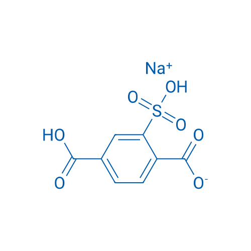 Monosodium 2-sulfoterephthalate 25g