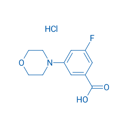 3-Fluoro-5-(morpholin-4-yl)benzoic acid hydrochloride 50mg