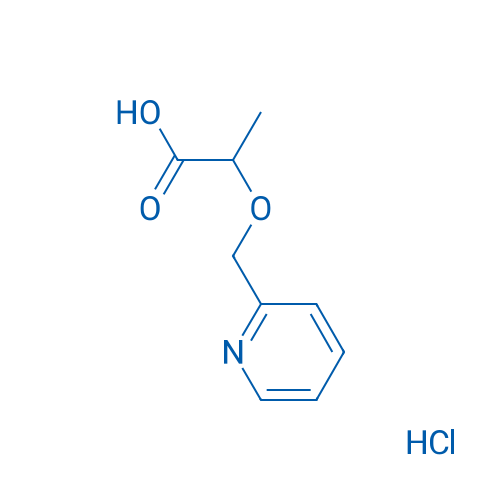 2-[(Pyridin-2-yl)methoxy]propanoic acid hydrochloride 1g