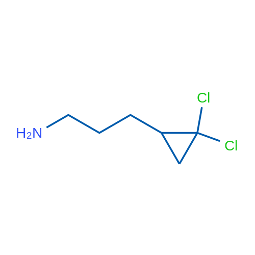 3-(2,2-Dichlorocyclopropyl)propan-1-amine 1g