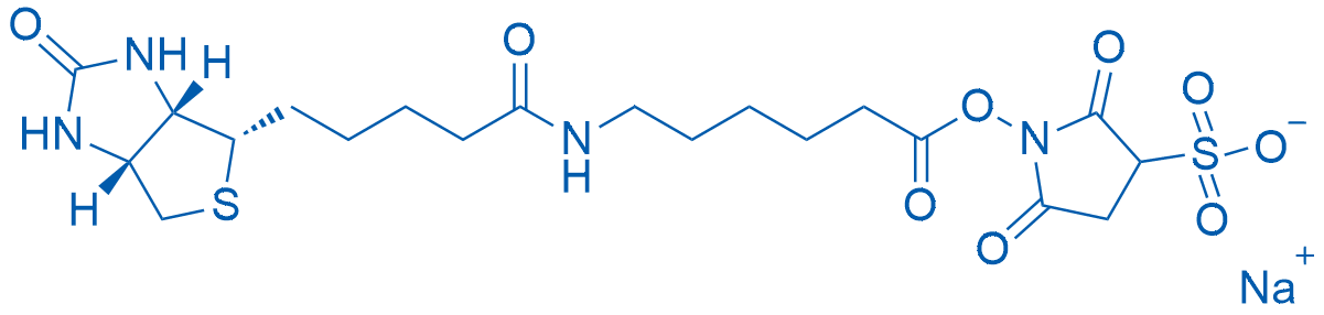 Sulfo-NHS-LC-Biotin sodium 50mg