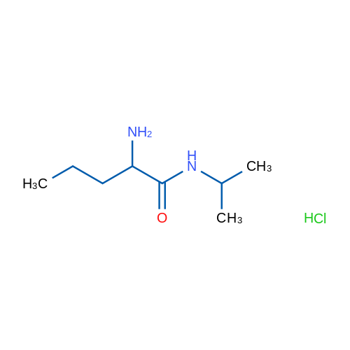 N(1)-ISopropylnorvalinamide hydrochloride 1g