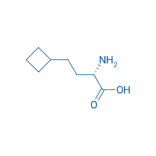 (2S)-2-Amino-4-cyclobutylbutanoic acid 1g