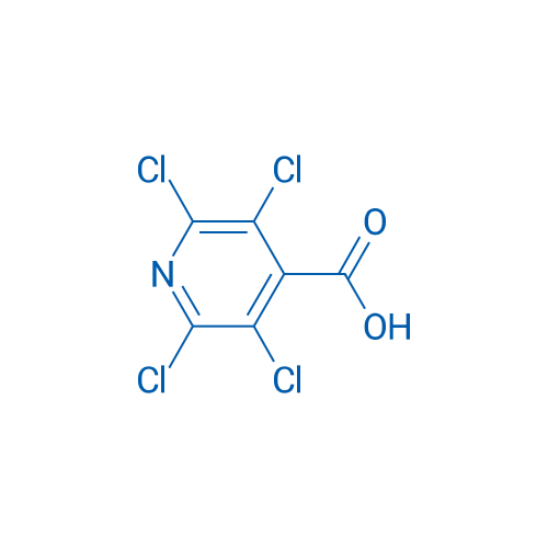 2,3,5,6-Tetrachloroisonicotinic acid 1g