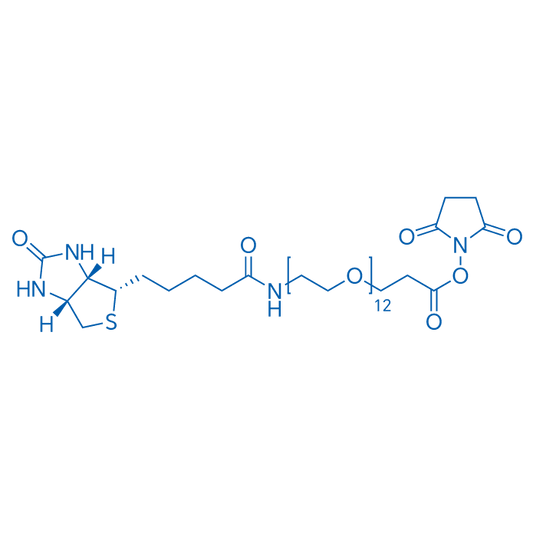 Biotin-PEG12-NHS ester 100mg