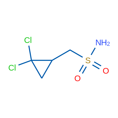 (2,2-Dichlorocyclopropyl)methanesulfonamide 1g