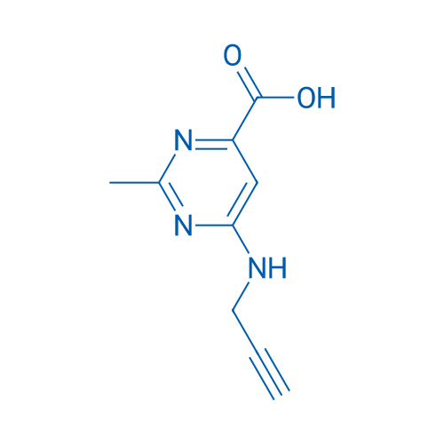 2-Methyl-6-[(prop-2-yn-1-yl)amino]pyrimidine-4-carboxylic acid 1g