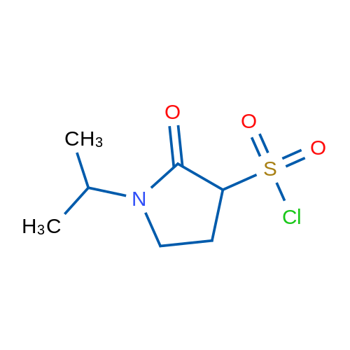 2-Oxo-1-(propan-2-yl)pyrrolidine-3-sulfonyl chloride 1g