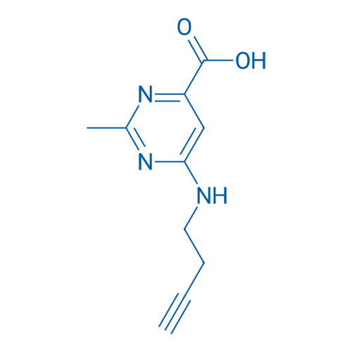 6-[(But-3-yn-1-yl)amino]-2-methylpyrimidine-4-carboxylic acid 1g