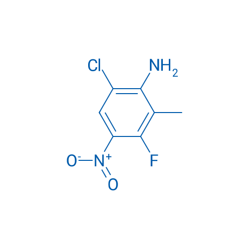 6-CHloro-3-fluoro-2-methyl-4-nitroaniline 1g