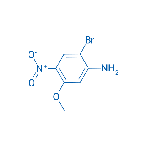 2-Bromo-5-methoxy-4-nitroaniline 1g