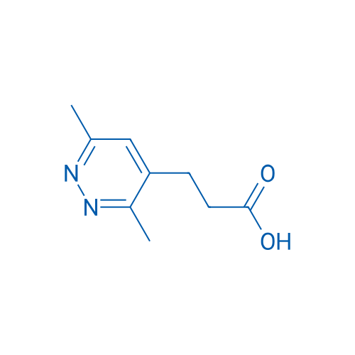 3-(3,6-Dimethylpyridazin-4-yl)propanoic acid 100mg