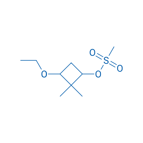 3-Ethoxy-2,2-dimethylcyclobutyl methanesulfonate 1g