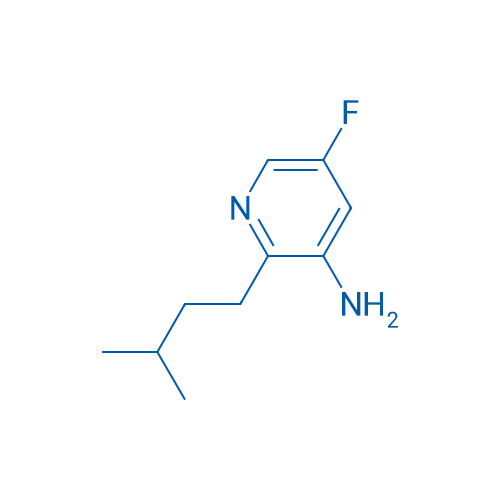 5-Fluoro-2-(3-methylbutyl)pyridin-3-amine 1g