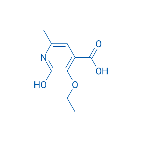 3-Ethoxy-2-hydroxy-6-methylisonicotinic acid 5g