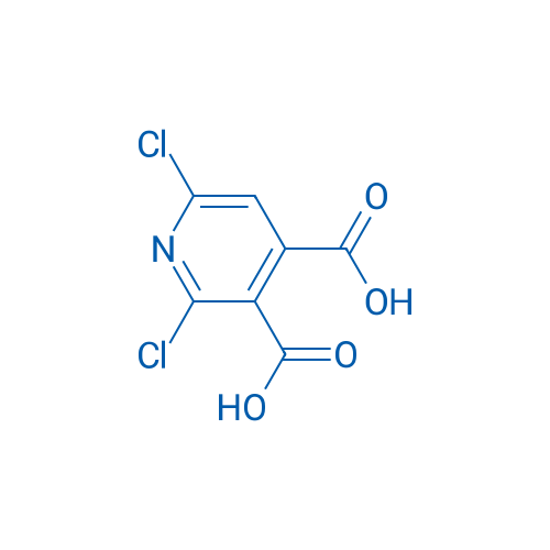 2,6-Dichloropyridine-3,4-dicarboxylic acid 1g