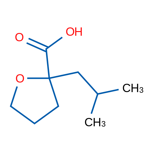 2-(2-Methylpropyl)oxolane-2-carboxylic acid 1g