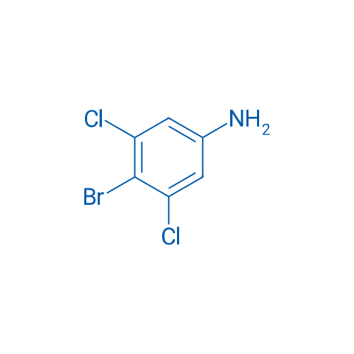 4-Bromo-3,5-dichloroaniline 10g