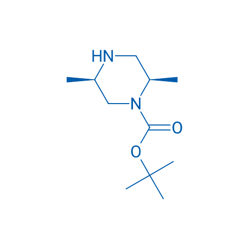 (2R,5R)-rel-tert-Butyl 2,5-dimethylpiperazine-1-carboxylate 1g