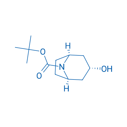 tert-Butyl 3-exo-3-hydroxy-8-azabicyclo[3.2.1]octane-8-carboxylate 1g