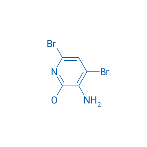 4,6-dibromo-2-methoxypyridin-3-amine 10g