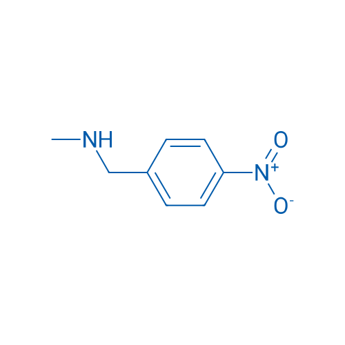 N-Methyl-1-(4-nitrophenyl)methanamine 10g