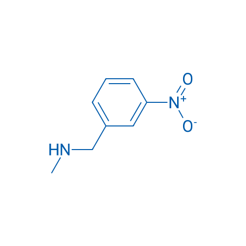 N-Methyl-1-(3-nitrophenyl)methanamine 5g