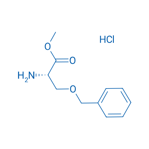 H-Ser(Bzl)-OMe·HCl 250mg