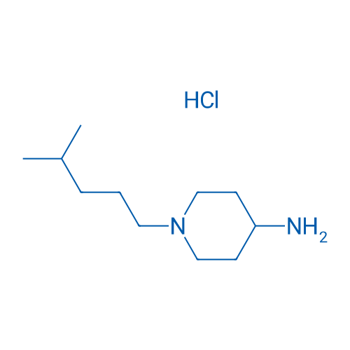1-(4-Methylpentyl)piperidin-4-amine hydrochloride 1g