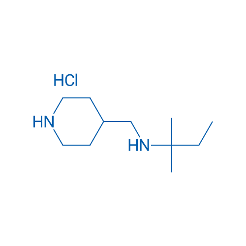 (2-Methylbutan-2-yl)(piperidin-4-ylmethyl)amine hydrochloride 1g