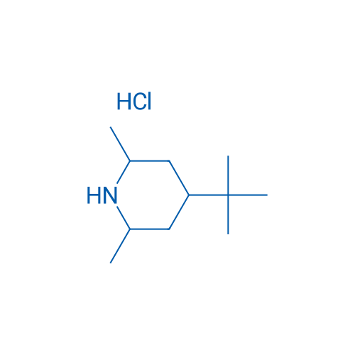 4-tert-Butyl-2,6-dimethylpiperidine hydrochloride 1g