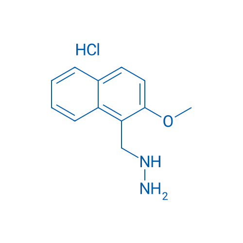 [(2-Methoxynaphthalen-1-yl)methyl]hydrazine hydrochloride 1g
