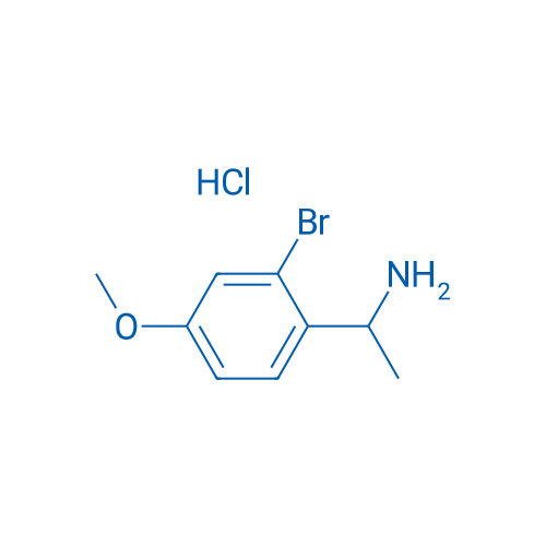 1-(2-Bromo-4-methoxyphenyl)ethan-1-amine hydrochloride 1g