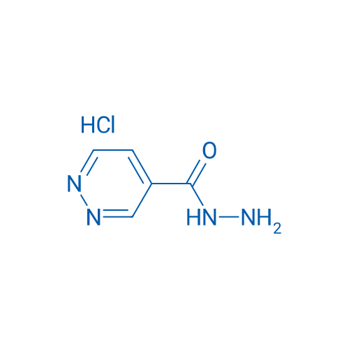 Pyridazine-4-carbohydrazide hydrochloride 1g