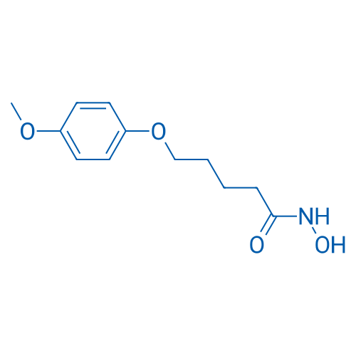 N-Hydroxy-5-(4-methoxyphenoxy)pentanamide 250mg
