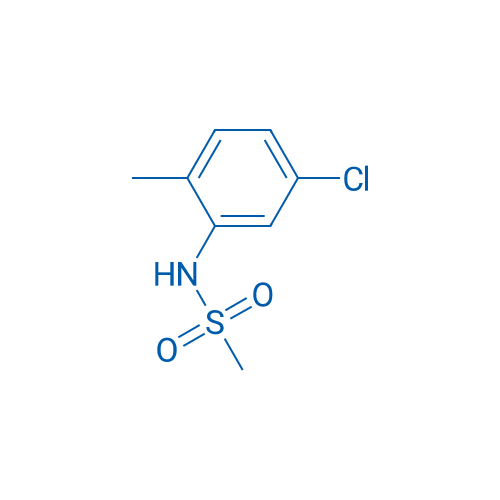 N-(5-Chloro-2-methylphenyl)methanesulfonamide 1g