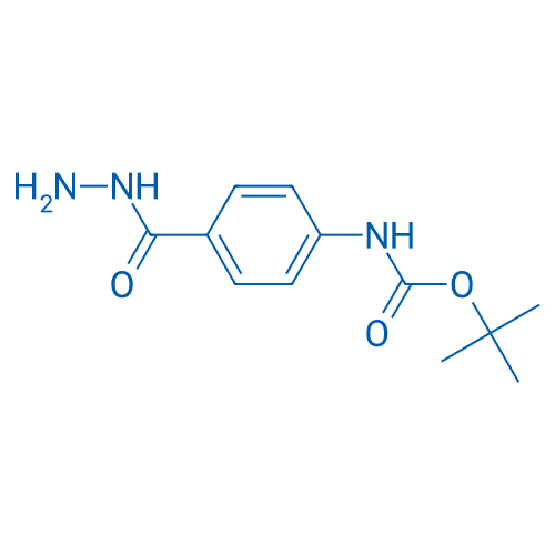 tert-Butyl4-(Hydrazinecarbonyl)-phenylcarbamate 1g