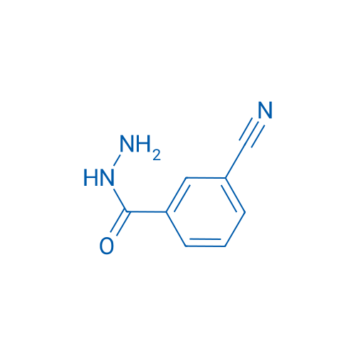3-Cyanobenzohydrazide 250mg