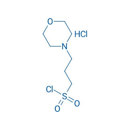 3-(Morpholin-4-yl)propane-1-sulfonyl chloride hydrochloride 100mg