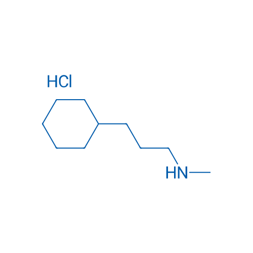N-Methyl cyclohexanepropanamine hydrochloride 1g