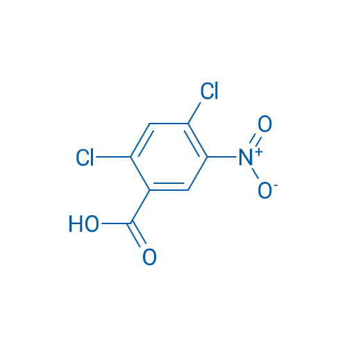 2,4-Dichloro-5-nitrobenzoic acid 1g
