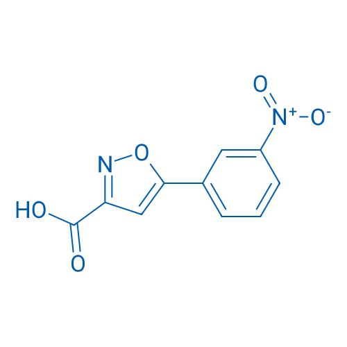 5-(3-Nitrophenyl)isoxazole-3-carboxylic acid 1g