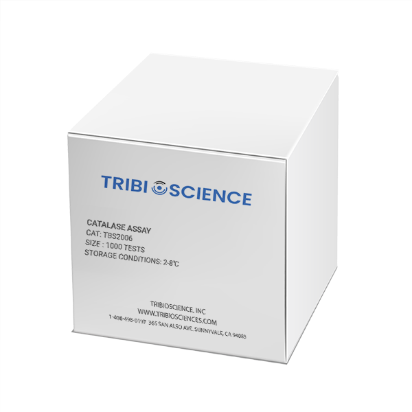 Catalase Assay Kit