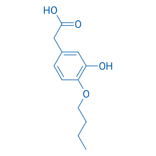 2-(4-Butoxy-3-hydroxyphenyl)acetic acid 1g
