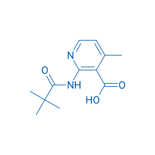 4-Methyl-2-pivalamidonicotinic acid 250mg