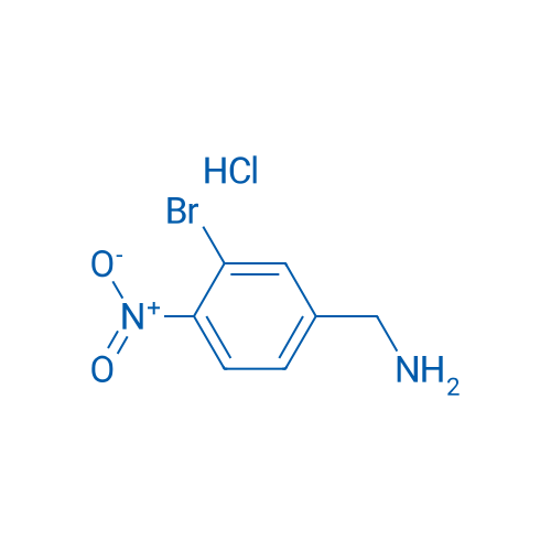 (3-Bromo-4-nitrophenyl)methanamine hydrochloride 1g