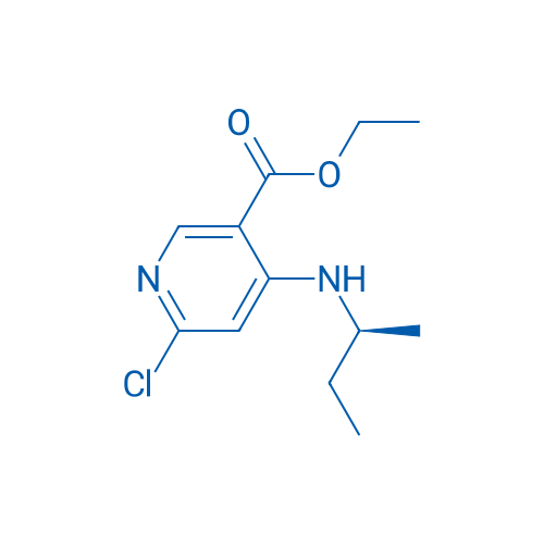 (S)-Ethyl 4-(sec-butylamino)-6-chloronicotinate 1g