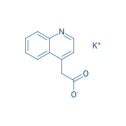 Potassium 2-(quinolin-4-yl)acetate 100mg