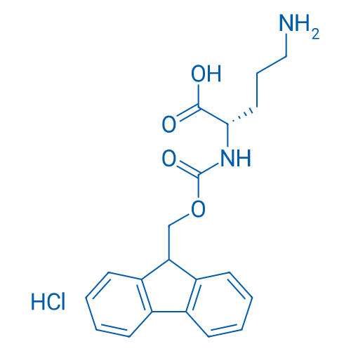 Fmoc-Orn-OH·HCl 100g